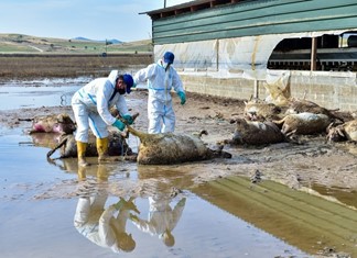 Θύματα της γραφειοκρατίας οι πλημμυρόπληκτοι της Θεσσαλίας