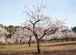 Ο ΕΛΓΑ αλλάζει σελίδα