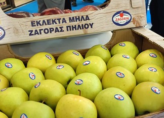 Εξωστρέφεια για τα Ζαγορίν παρά τον «Daniel»