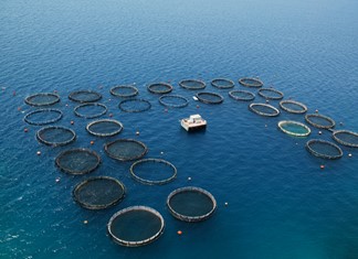 Biomar Hellenic: Οι Δανοί στέλνουν από τον Βόλο τροφή για ιχθυοκαλλιέργειες σε όλο τον κόσμο