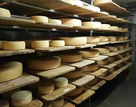 Επενδύσεις 2 εκ. ευρώ από την τυροκομική "Διβάνης"