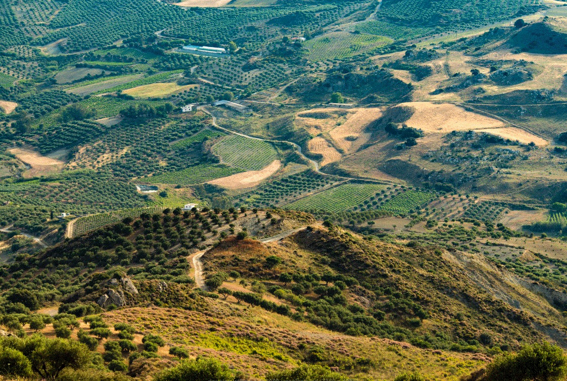 Θεσσαλία: Πονοκέφαλος η "επιστροφή" των δασωμένων εκτάσεων