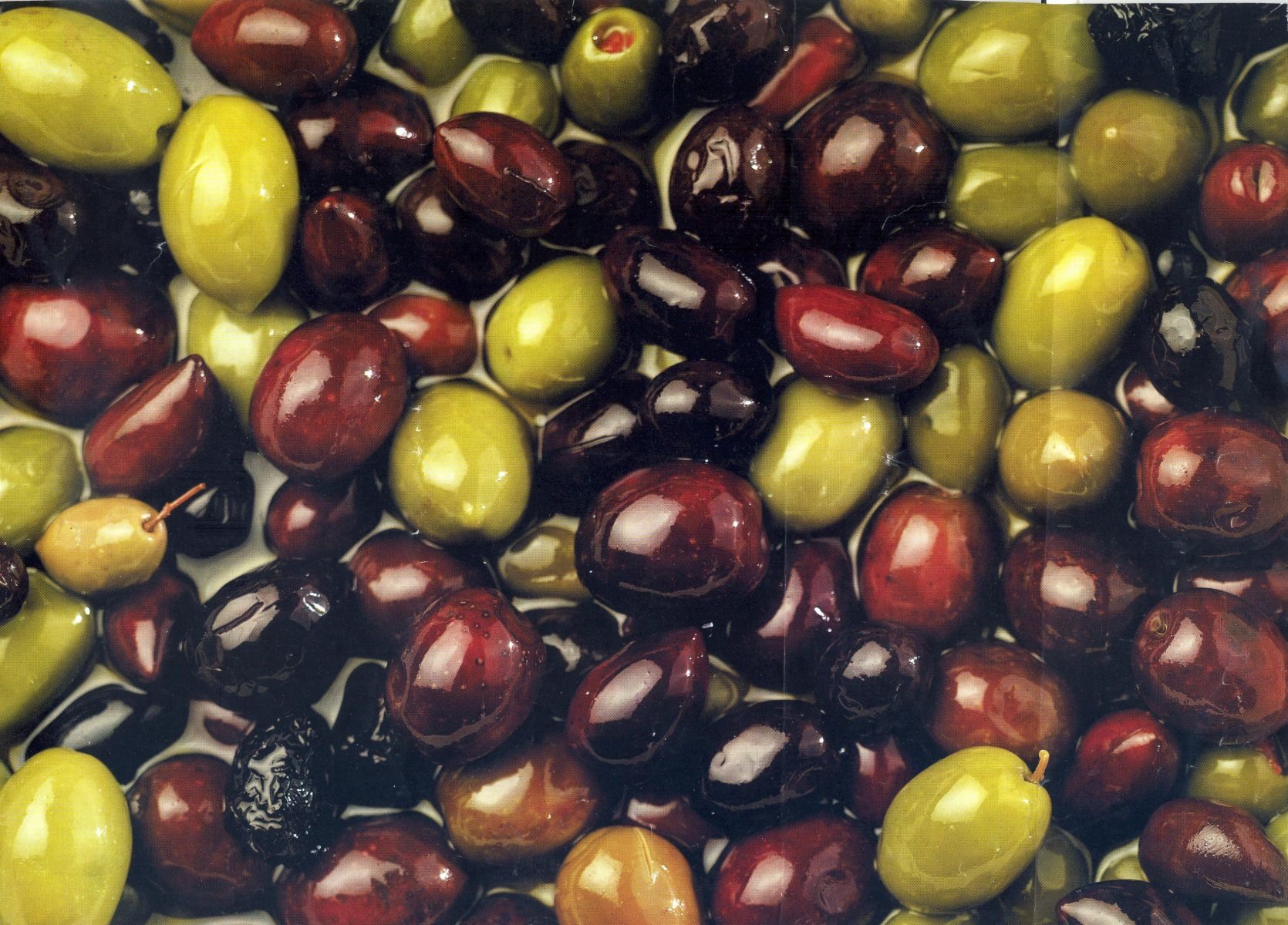 Ελιά: Κίνδυνος η παραγωγή να μείνει στις αποθήκες 