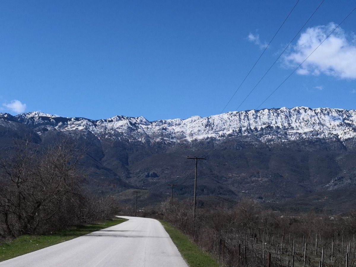 Αξιοποιούνται τα βότανα του όρους Κόζιακας