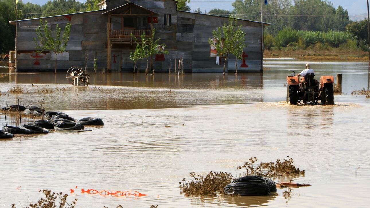 Καρδίτσα: Χάθηκαν 13.000 ζώα και 28.000 κυψέλες