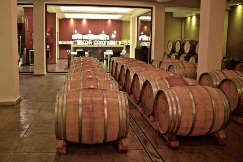 Τύρναβος: Επενδύσεις 2,3 εκ. από το Κτήμα Μίγας