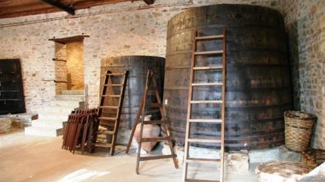 To μουσείο ελιάς και λαδιού κατεβαίνει στο Βόλο