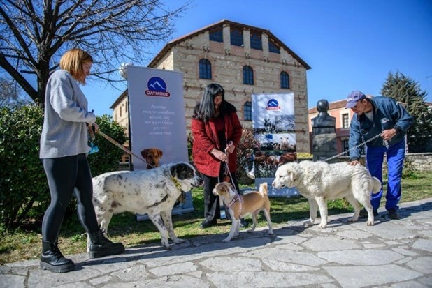 Χορηγική μέριμνα της ΟΛΥΜΠΟΣ στα αδέσποτα των Τρικάλων