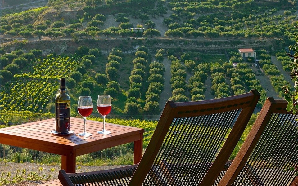 Προοπτικές οινοτουρισμού στην ύπαιθρο του νομού Λάρισας