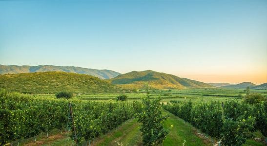 Εκσυγχρονισμός μέσω αναπτυξιακού για τον συνεταιρισμό "Ορεινά Κισσάβου"