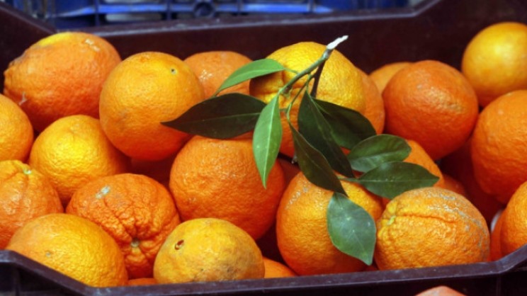 Εκρηξη εξαγωγών ελληνικών φρούτων και λαχανικών