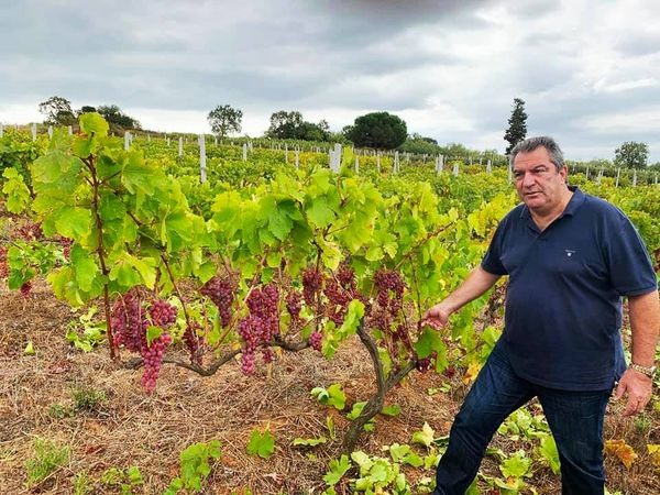 Πέθανε ο θεσσαλός οινοποιός Νίκος Ρακής