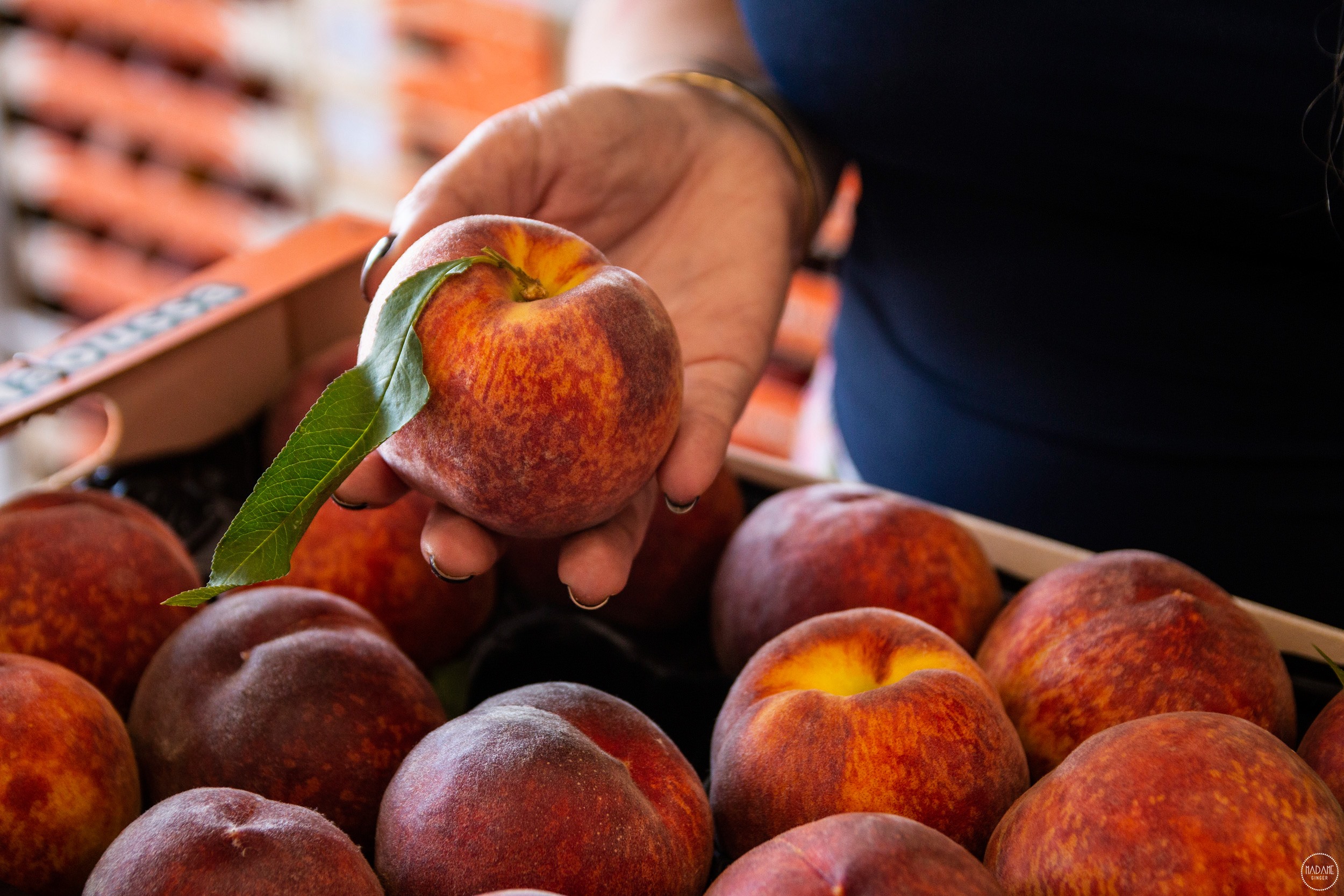 Οι εξαγωγές των προϊόντων μας στη Γερμανία
