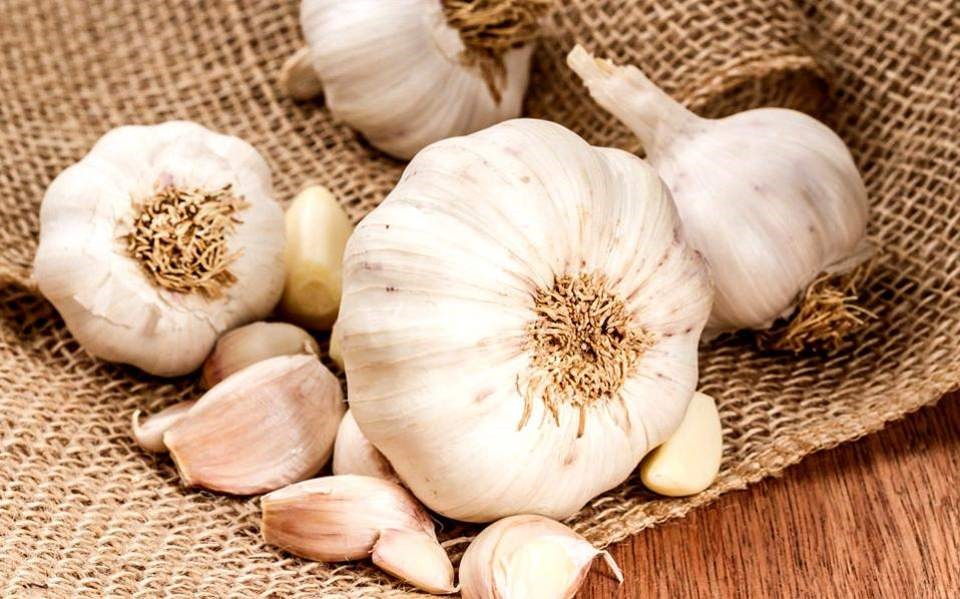 Σκόρδο Πλατυκάμπου σε ιαπωνικά συμπληρώματα διατροφής