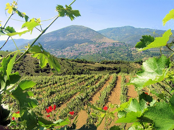 Ο Τσάνταλης, η Ραψάνη και τα 45 εκ. δάνεια