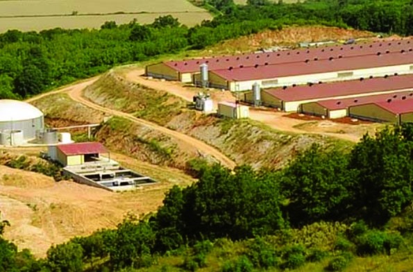 Χοιροτροφική μονάδα στην Ήπειρο εξαγόρασε η Φλωρίδης ΑΕΒΕΚ