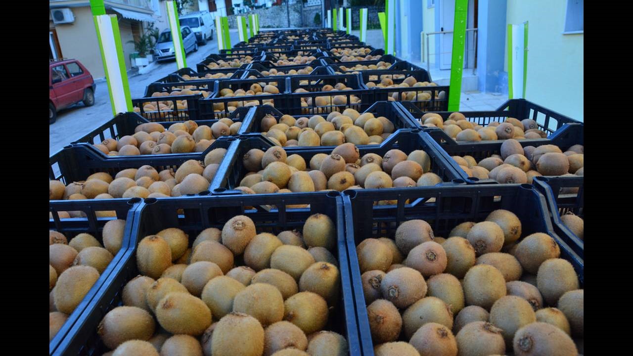 Πιθανές ελλείψεις σε φρούτα και λαχανικά στην Ευρώπη