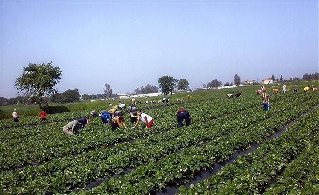 Λάρισα: Ποινή 400.000 ευρώ για αδήλωτους εργάτες