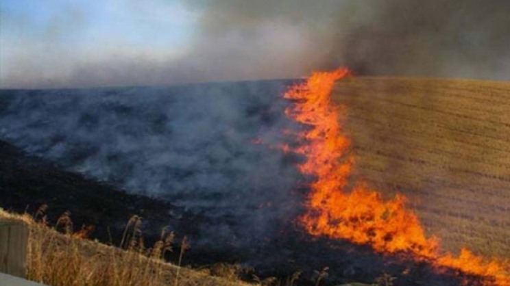 Περικοπή επιδοτήσεων σε θεσσαλούς αγρότες που έκαψαν σιτοκαλαμιές