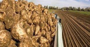 Για ...βιομάζα