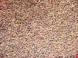 Καταδίκες για απάτη σε βάρος παραγωγών φακής από τα Φάρσαλα