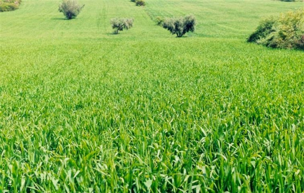 Εκπρόσωποι συνεταιριστικών επιχειρήσεων συναντώνται στα Φάρσαλα