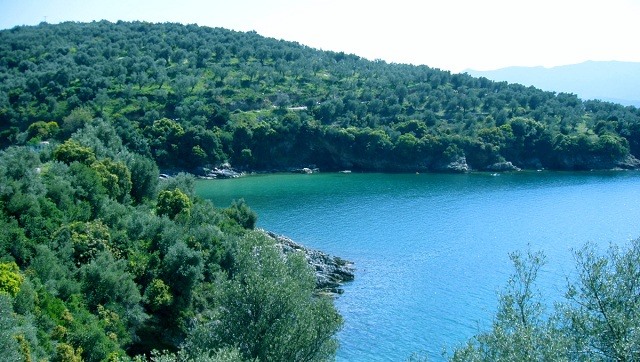 Αλατάς: Προχωράμε με ήπια ανάπτυξη δηλώνουν οι επενδυτές