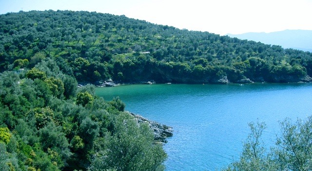 Αλατάς: Η επένδυση των 200 εκ. "κόλλησε” τώρα στην Αποκεντρωμένη