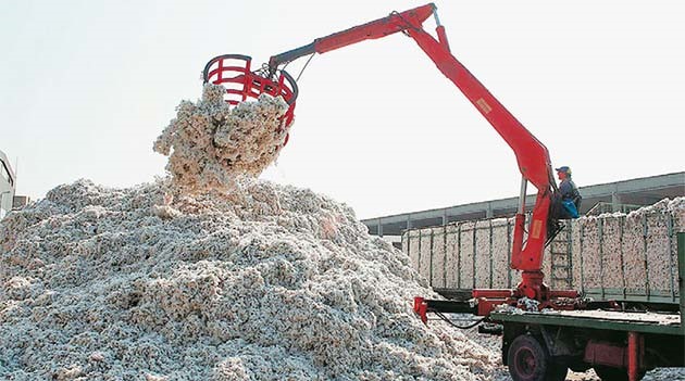 Βαμβάκι: Έλεγχο για καρτέλ εκκοκκιστών ζητούν οι παραγωγοί