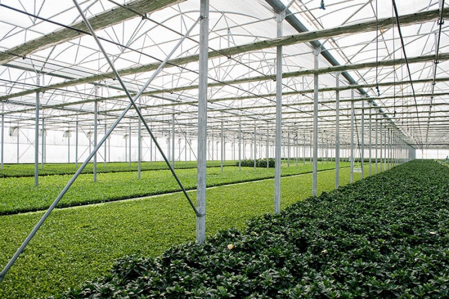 Πέθανε γνωστός Λαρισαίος επιχειρηματίας