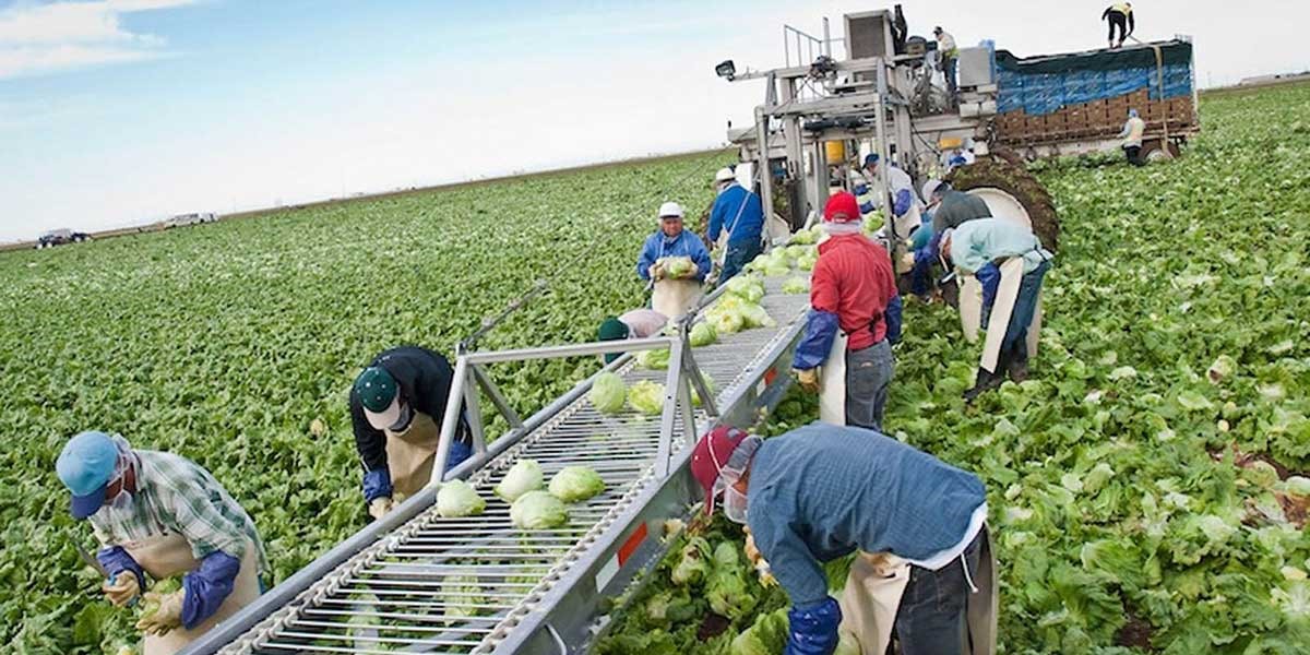 Πρωτοβουλίες της Τράπεζας Πειραιώς για τη μείωση του κόστους αγροτικής παραγωγής