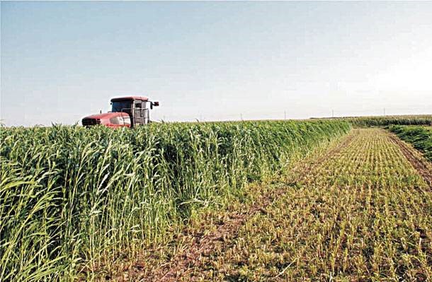 Συμβολαιακή γεωργία από την Παγκρήτια Συνεταιριστική
