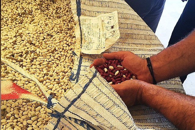 Αγροτοδιατροφική έκθεση στη Λάρισα από την ΔΕΘ-Helexpo και τον τοπικό Δήμο