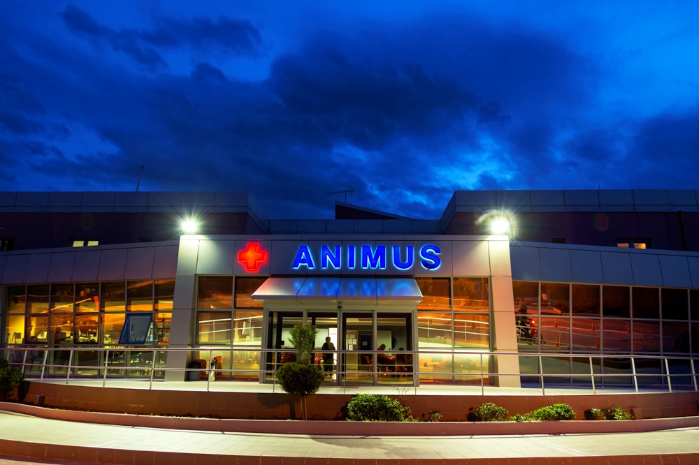 Animus: Μνημόνιο συνεργασίας με Ρωσικό όμιλο Υγείας παρουσία του Ρώσου Πρέσβη