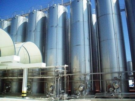 H "Ήπειρος" ανοίγει το χορό των μειώσεων στην τιμή παραγωγού γάλακτος