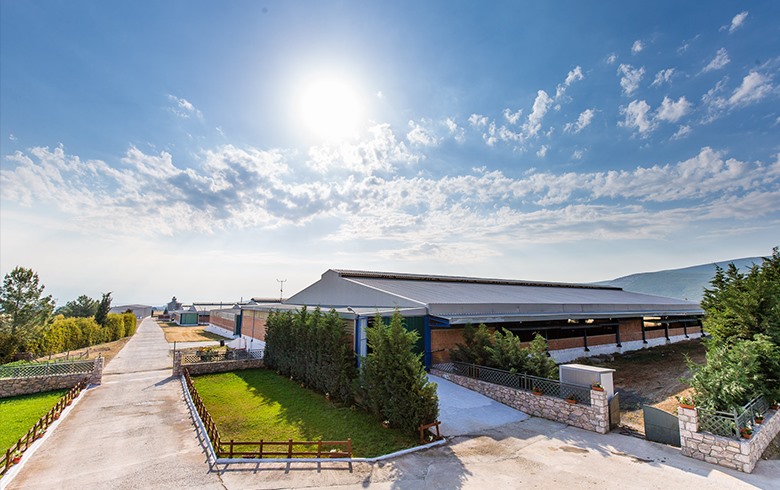 Αλμυρός: Ανταλλαγή ακινήτου για την Greek Family Farm 