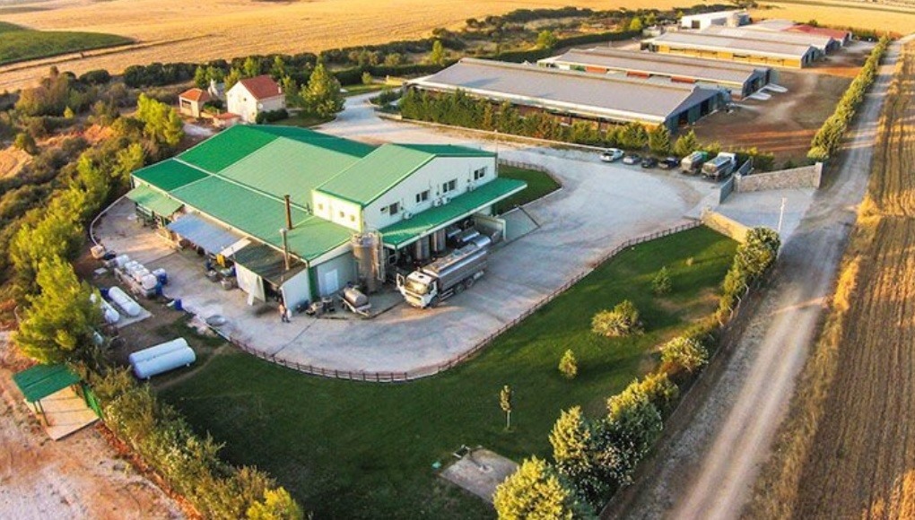 Αλμυρός: Oι Γερμανοί βελτίωσαν τις εξαγωγές της Greek Family Farm