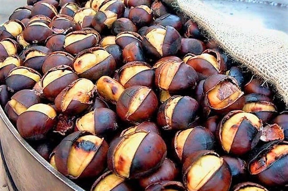 Μπύρα με γεύση κάστανου από "Πηνειού" και συνεταιρισμό Μελιβοίας