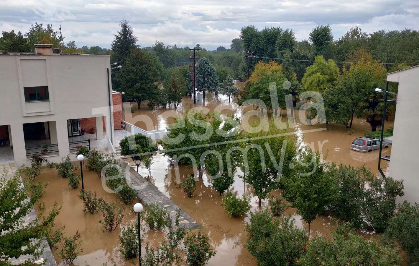 Πολύτιμο βιολογικό υλικό έρευνας χάθηκε στο ΤΕΦΑΑ