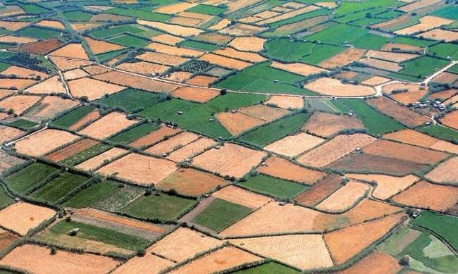 Χωρίς συμπληρωματικό ΕΝΦΙΑ τα αγροτεμάχια φέτος και το 2018