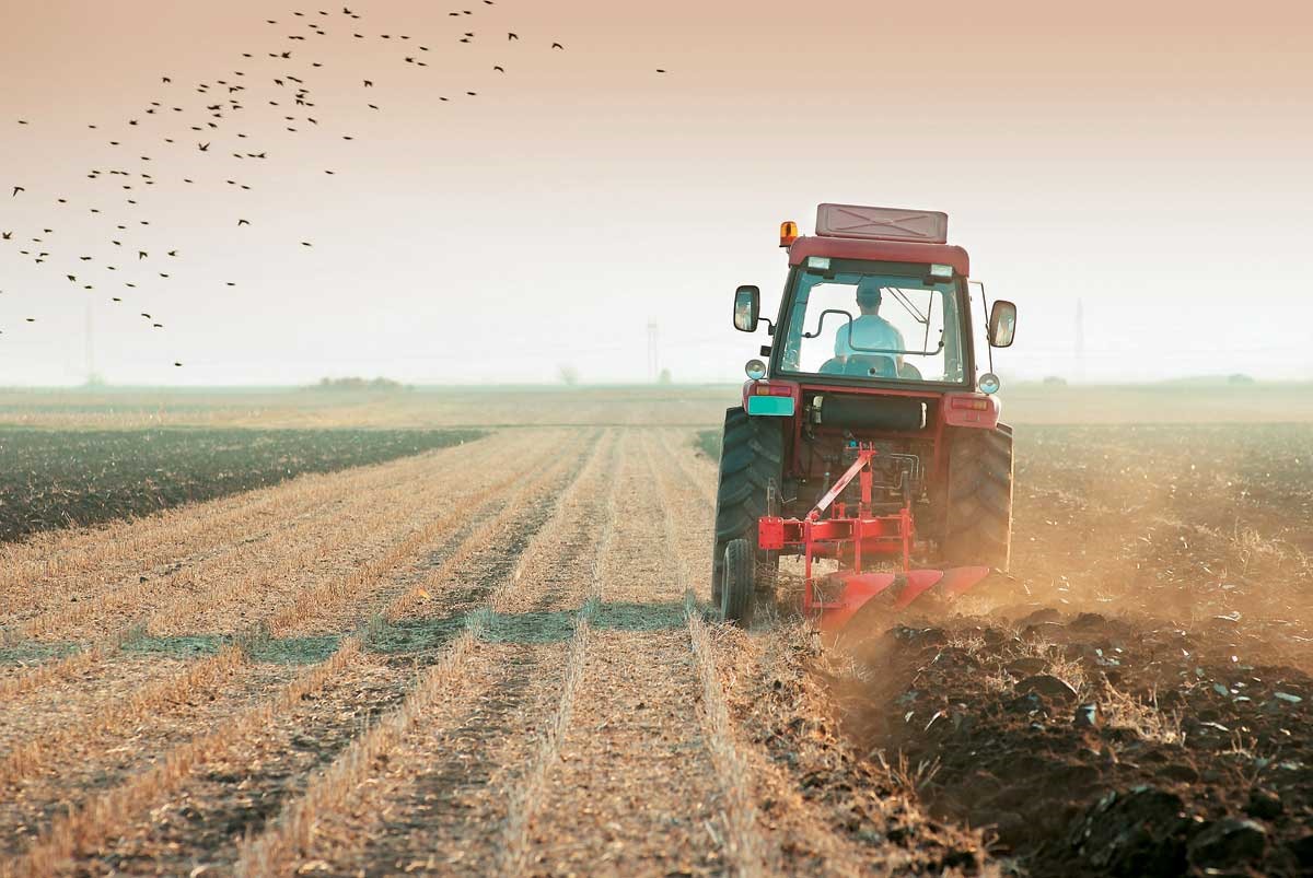 Φορολογικές Δηλώσεις: Τι ισχύει για τα αγροτικά εισοδήματα
