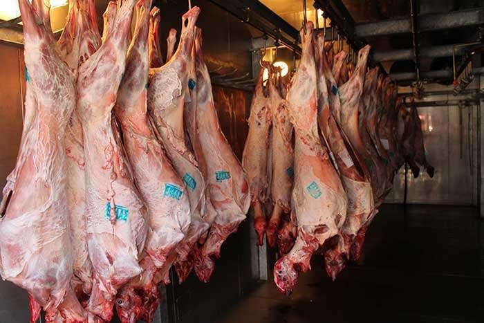 Στα 12 ευρώ κυμαίνεται το αρνί στη Θεσσαλία