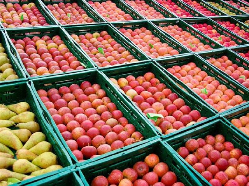 Οργιάζει λόγω φόρων η "μαύρη" διακίνηση στα τοπικά αγροτικά προϊόντα