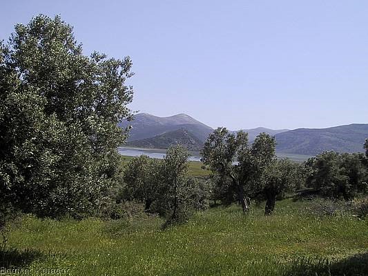 Θα παραχωρηθούν προς καλλιέργεια εκτάσεις της πρώην Κάρλα