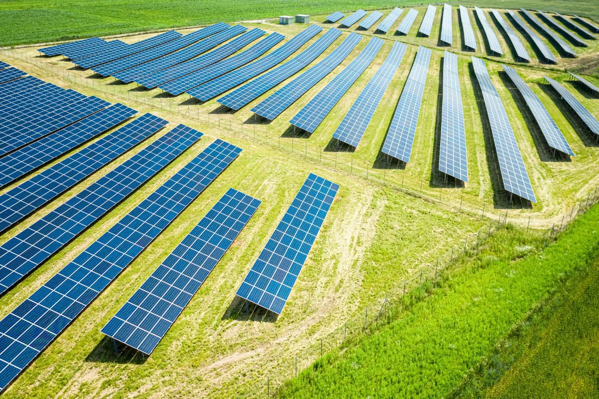 Υποχρεωτική φύτευση στα φωτοβολταϊκά πάρκα