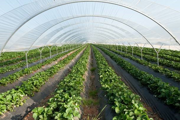 Θεματικό συμπόσιο για τη γεωργία στη Λάρισα