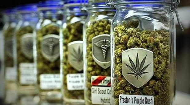 Στη Λάρισα το 1ο Φόρουμ βιομηχανικής κάνναβης