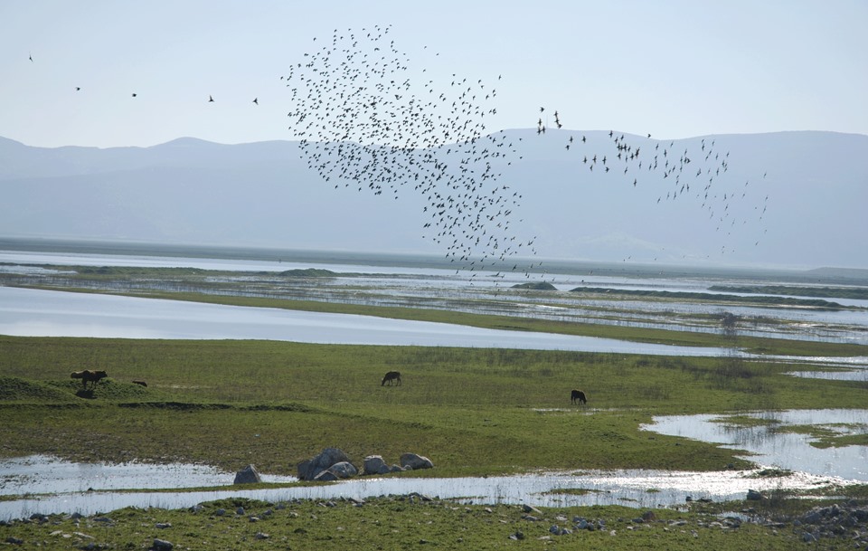 Αφιέρωμα στη Λίμνη Κάρλα - Παγκόσμια Ημέρα Περιβάλλοντος 2018