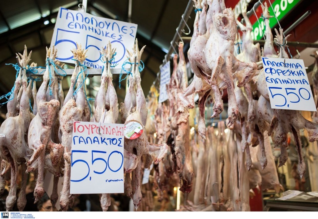 Κόκκαλης: Σύντομα στη Βουλή η αναγραφή προέλευσης σε κρέας και γάλα