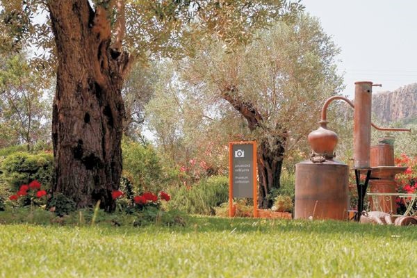 Το Πλωμάρι πίσω από την επένδυση στον Τύρναβο